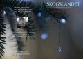 Skogslandet